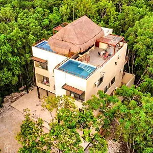 https://naajal-tulum.tulum-hotels.net